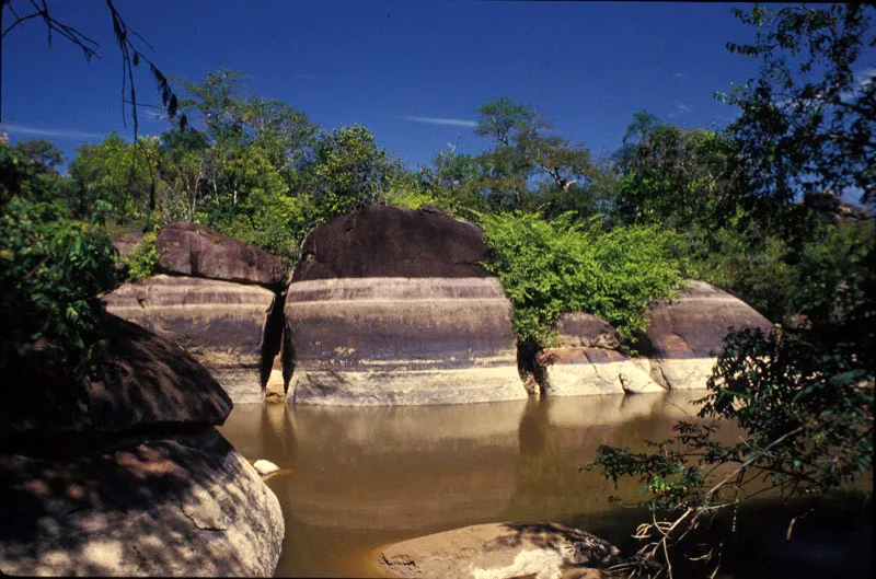 Los niveles de agua en los ros Orinoco y Tuparro se marcan en las rocas de diferente manera en cada poca del invierno. Carlos Castao