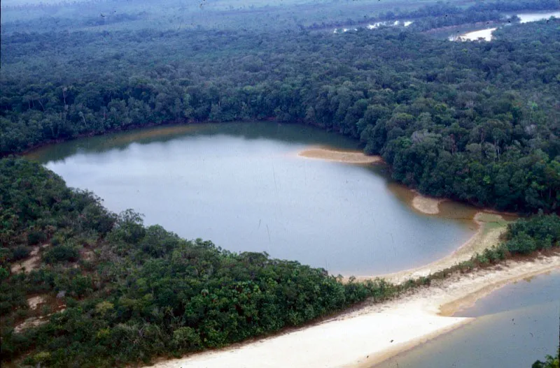 La red hidrogrfica del parque juega un papel importante en las caractersticas que definen su geografa. Muchos de los ros que corren por El Tuparro forman meandros, o curvas pronunciadas en su curso, las cuales luego son abandonadas para formar lagunas de diferentes tamaos. Unidad Administrativa Especial del Sistema de Parques Nacionales