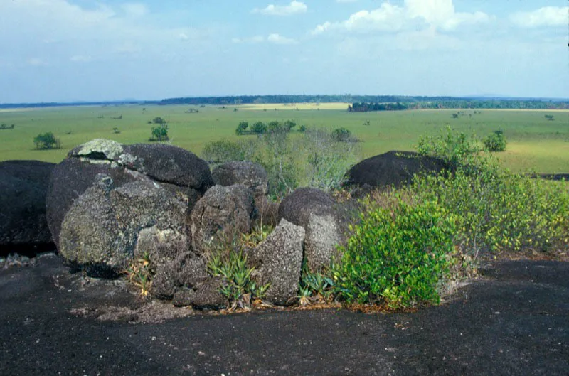 Rocas ennegrecidas por la presencia de óxidos de hierro. Carlos Castaño