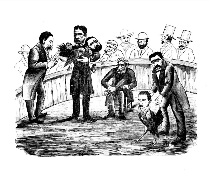 Caricatura de Greas en El Zancudo sobre la eleccin de vicepresidente, durante los comicios de 1892. Carlos Martnez Silva lanza a Marceliano Vlez, mientras Carlos Holgun afila las espuelas de Miguel Antonio Caro. Con las tijeras en la mano, Rafael Nez observa la escena. 