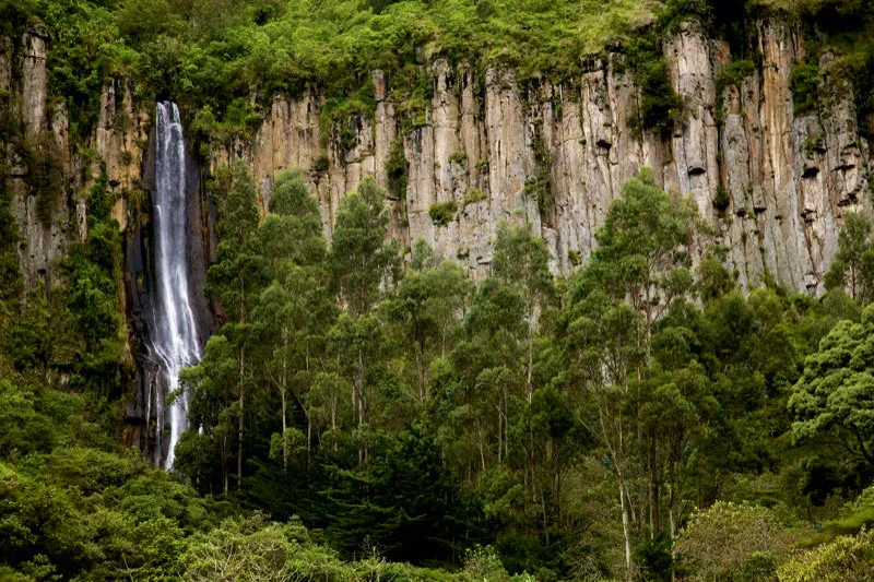 Cascada. Coconucos, Cauca. César David Martínez