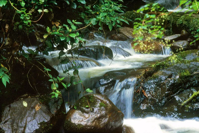 Ro Blanco, Tolima.  Jess Vlez