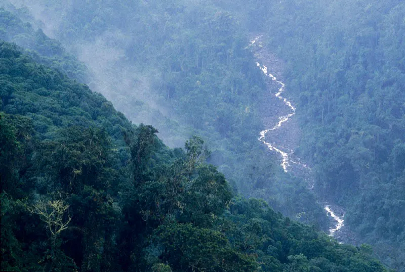 Río Chinchiná. Villa María, Caldas. Jesús Vélez
