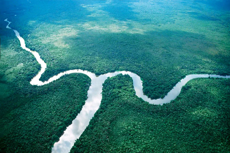 Brazo León. Ciénaga de Tumaradó, Chocó. Aldo Brando