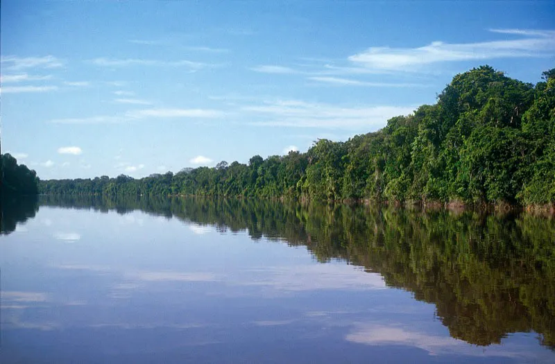 Ro Cahuinari. Amazonas.  Diego Miguel Garcs