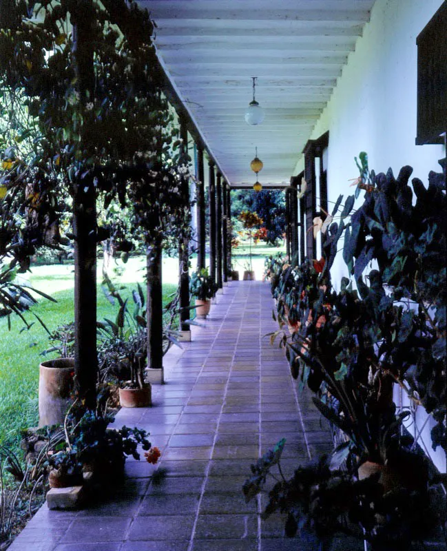 Pereira, Risaralda.