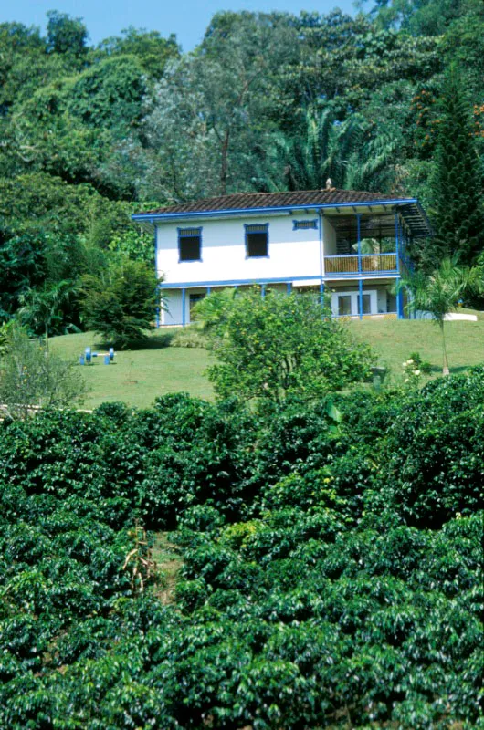 Armenia, Quindío.