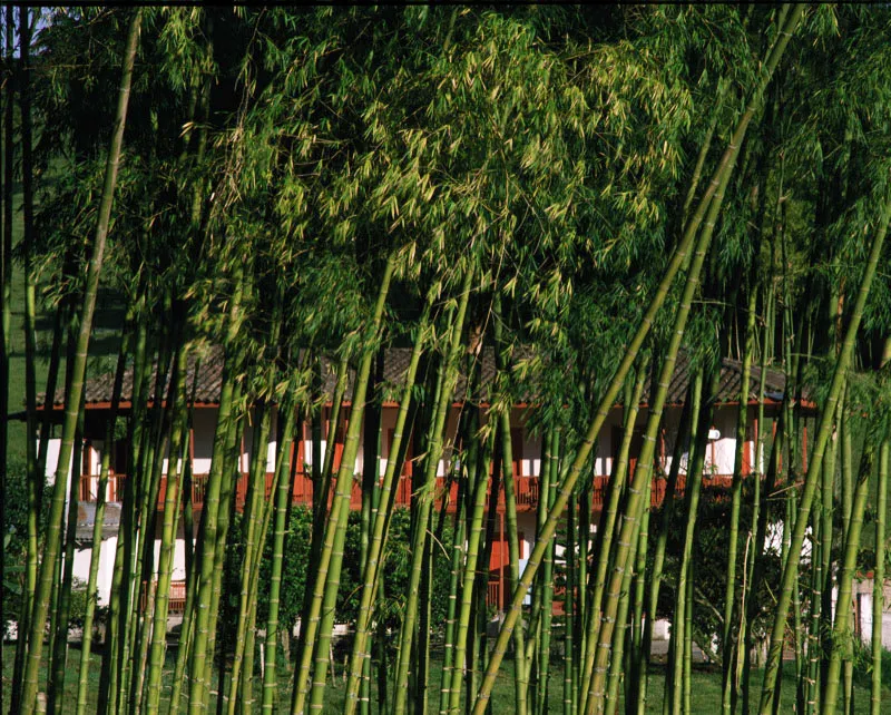 Santa Rosa de Cabal, Risaralda.