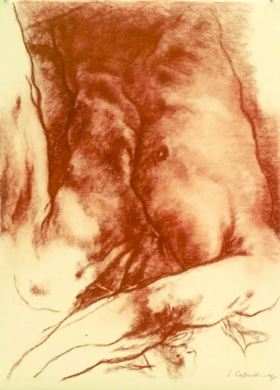 1986 / Sanguina sobre papel / 105 x 75 cm 