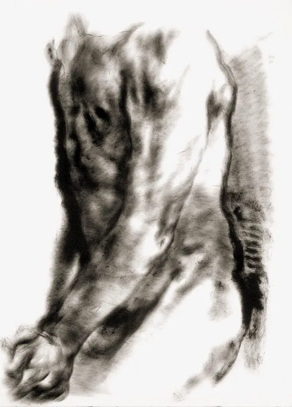1990 / Óleo sobre papel / 75 x 105 cm