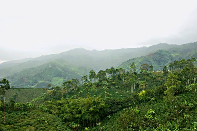 Líbano, Tolima. Andrés Mauricio López
