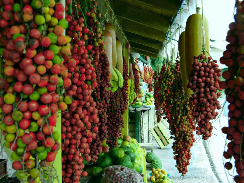 Corozos, papayas, mandarinas, naranjas, limones, chirimoyas, guanábanas, bananos, cocos, granadillas, nísperos, piñas, mangos, pitahayas, maracuyás, guayabas y otras deliciosas frutas tropicales se ofrecen al viajero al borde de la vía a Medellín, en Versalles, Antioquia. Carlos Pineda