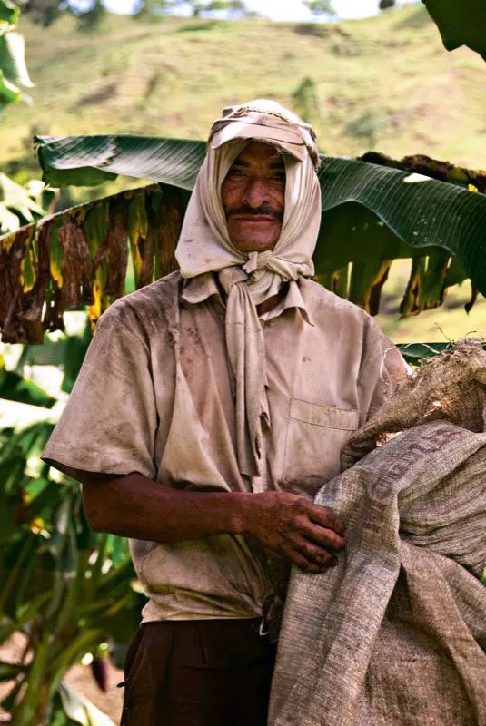 Desyerbador de café en la vía a la La Celia, Risaralda. Andrés Mauricio López