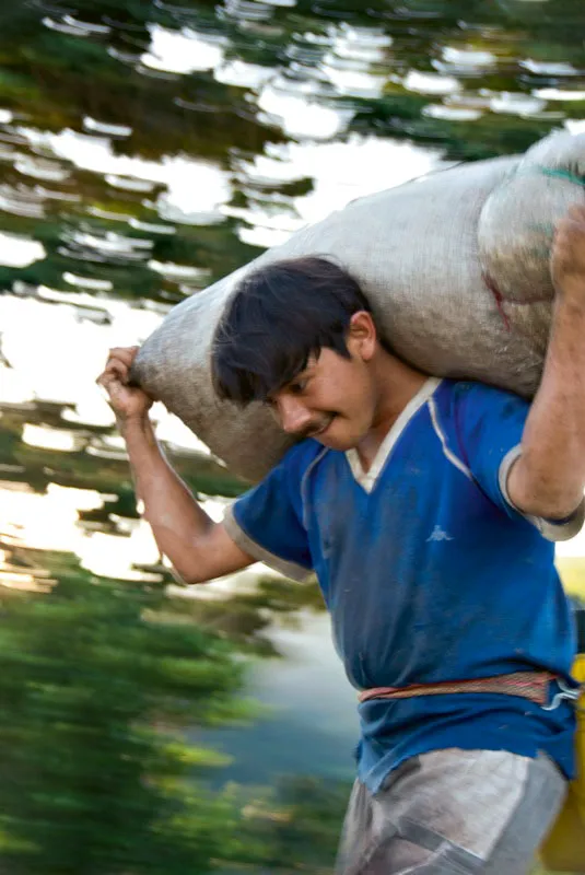 Recolector de Cauca. Si no hay mulas cualquier transporte sirve. El café viaja en las espaldas de los hombres, en camionetas, en jeeps, en lo que sea. Andrés Mauricio López
