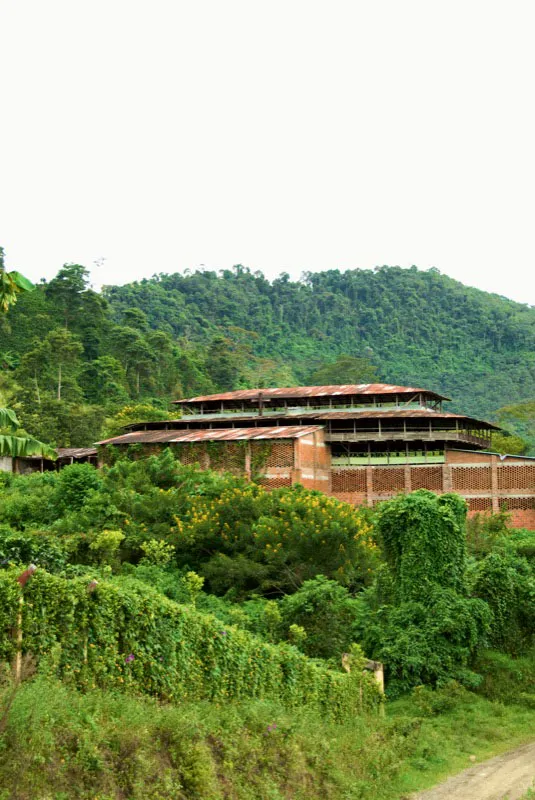 Zarzos en Líbano,Tolima. Andrés Mauricio López