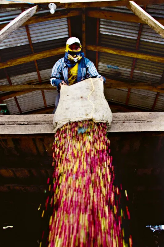 Carlos Pineda