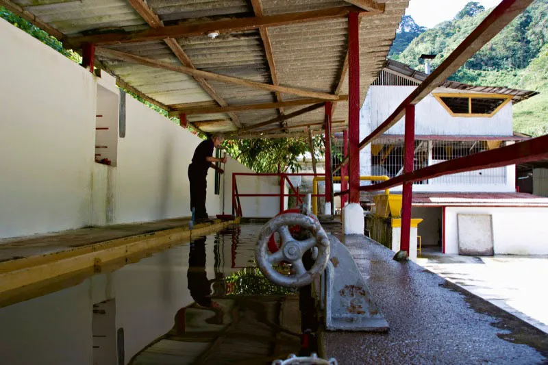 Hacienda La Victoria, Minca, Sierra Nevada de Santa Marta, Magdalena. Carlos Pineda