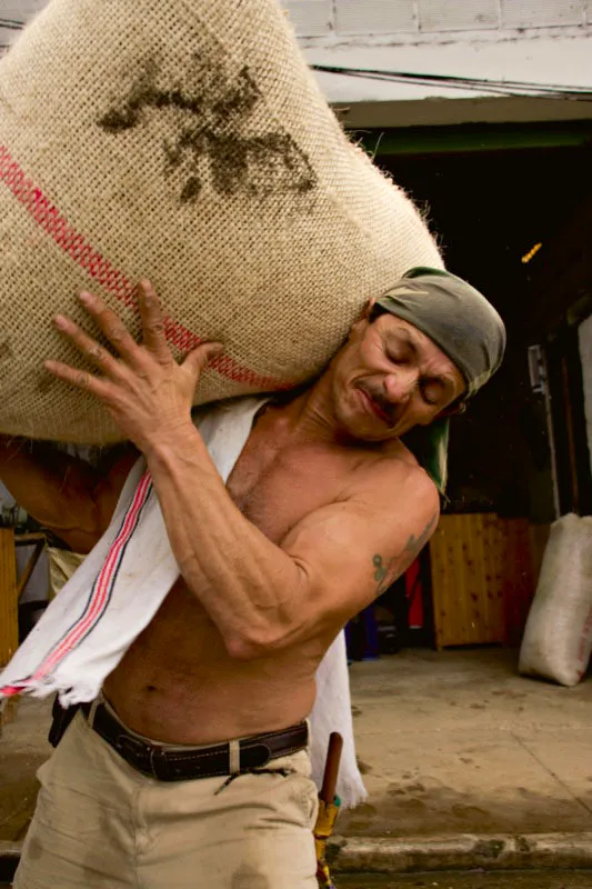 Cargador de caf lleva bultos hasta la trilla en Jardn, Antioquia. Carlos Pineda