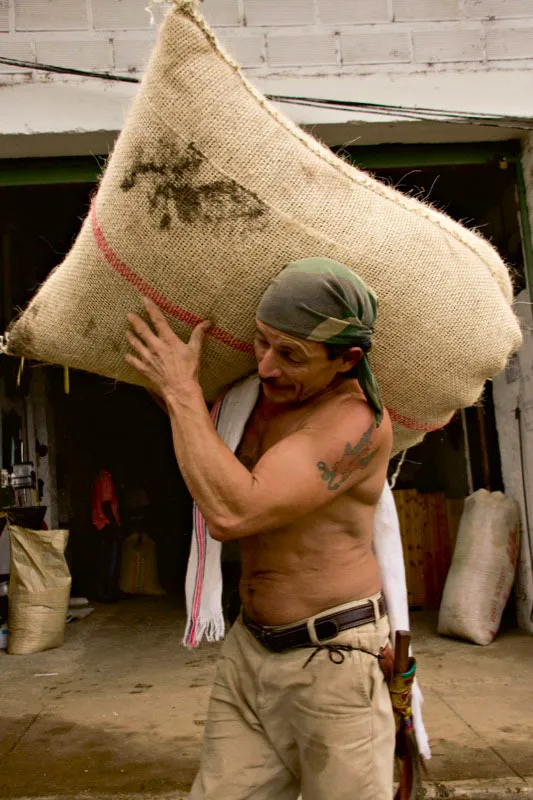 Cargador de café lleva bultos hasta la trilla en Jardín, Antioquia. Carlos Pineda