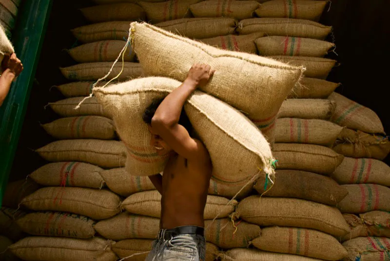 Cargador de café en Pitalito, Huila. Andrés Mauricio López