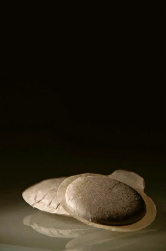 Pods. Andrés Mauricio López
