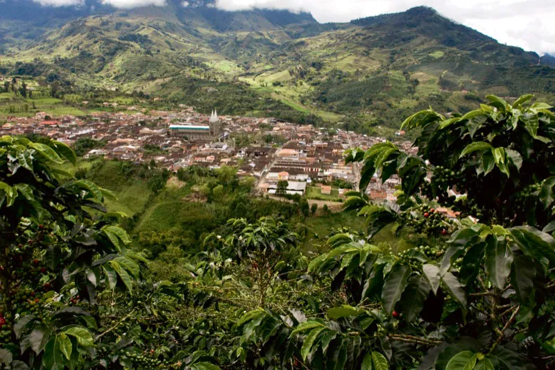 Vista panormica de la poblacin de Jardn, uno de los municipios ms destacados de la cultura cafetera antioquea. Carlos Pineda