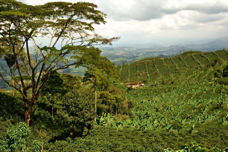 Vereda La Comuna, Marsella, Risaralda. Andrés Mauricio López