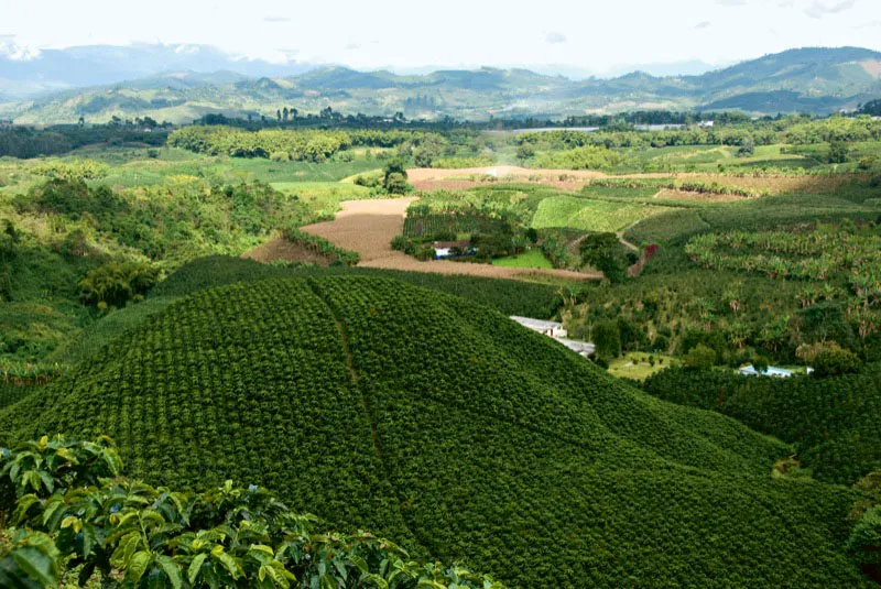 El Español, Santa Rosa de Cabal, Risaralda. Andrés Mauricio López
