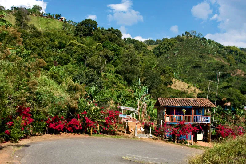Morrogacho, bella formación rocosa que se eleva sobre la exuberante vegetación del municipio de Salento, Quindío. Carlos Pineda