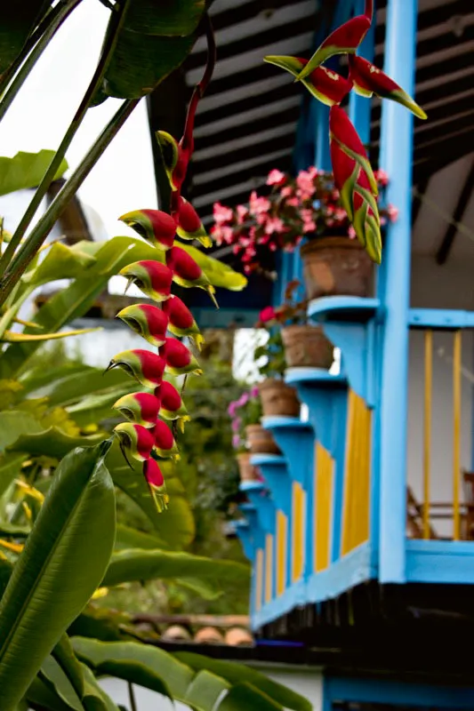 Filandia, Quindío. Carlos Pineda