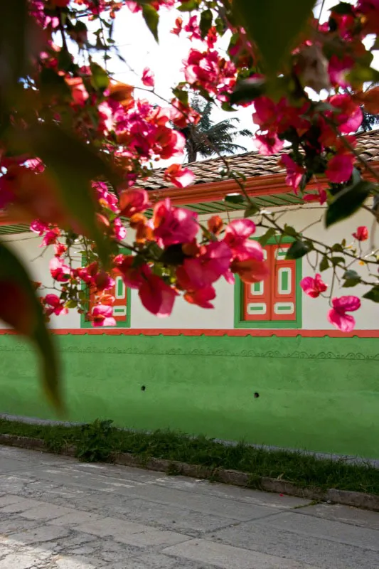 Salento, Quindío. Carlos Pineda