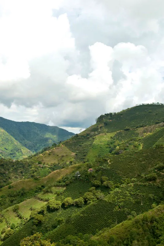 Laderas del norte del Valle con sus casas. Andrés Mauricio López