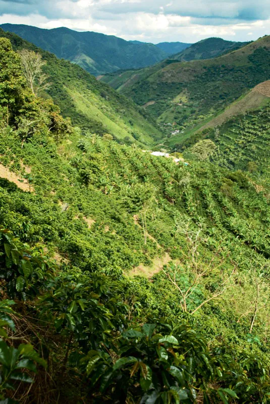 Vallecitos del norte del Valle con sus casas. Andrés Mauricio López