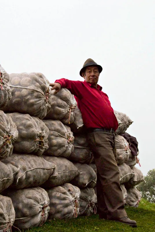 Cargamento de la famosa papa pastusa. Corregimiento Santa Rosa, municipio de Sandon, Nario. Andrs Mauricio Lpez