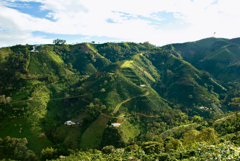 El Mirador, Acevedo, Huila. Andrés Mauricio López