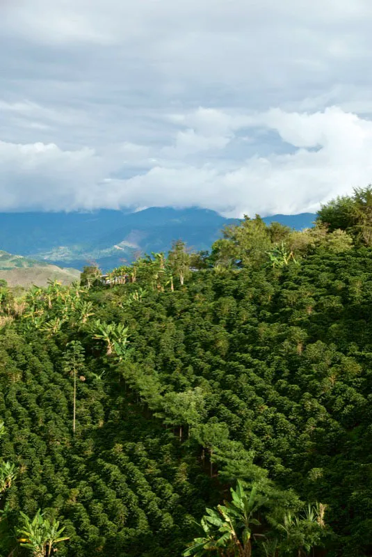 El Mirador, Acevedo, Huila. Andrés Mauricio López