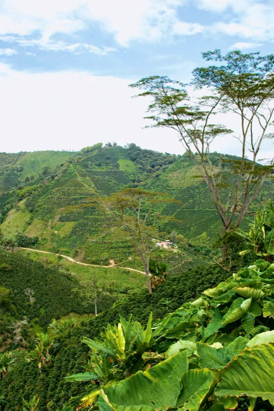 El Mirador, Acevedo, Huila. Andrés Mauricio López