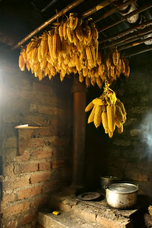 En estos pueblos la vida es sencilla y todo lo que se necesita proviene de la tierra, tanto el barro para hacer los ladrillos de las edificaciones como el maíz que es el alimento ancestral
por excelencia de los nativos del continenteamericano.
Cocina típica con racimos de maíz secándose al calor del hogar. Corregimiento Los Cauchos,
San Agustín, Huila. Andrés Mauricio López