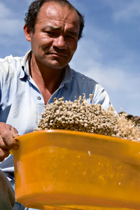 Campesino huilense. Andrés Mauricio López