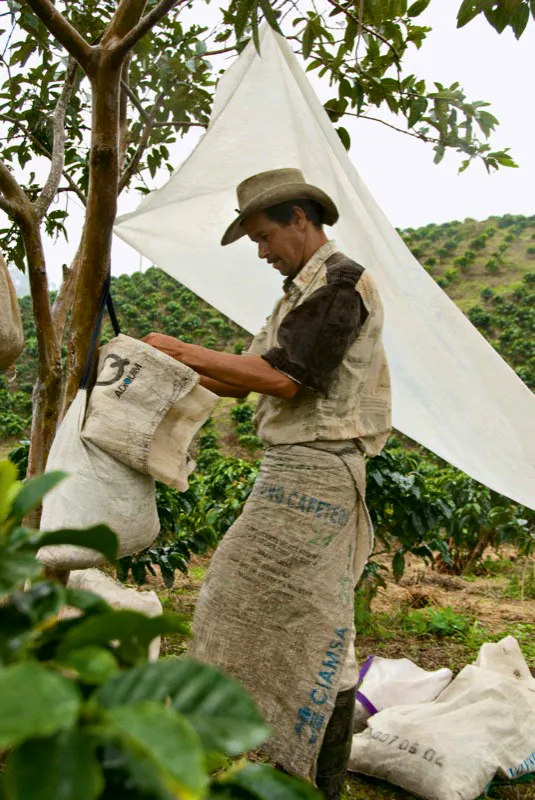 Finca La Arcadia, Líbano, Tolima. Andrés Mauricio López