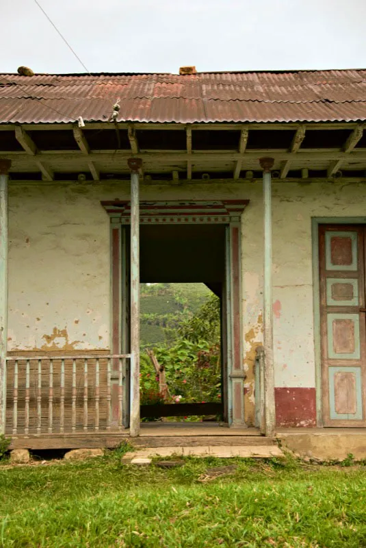 Las casas de las tierras cafeteras se ven literalmente invadidas por los paisajes. Basta abrir una puerta o una ventana para ver la exuberante vegetación en todo su esplendor, como en esta casa en Bella Vista, Líbano, Tolima. Andrés Mauricio López