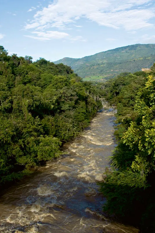 Bosques húmedos en el santuario de fauna y flora del alto río Fonce, Santander. Carlos Pineda