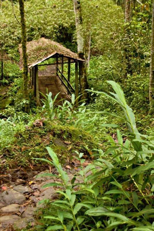 Puente hecho con maderas del lugar, techado, que hace parte del camino real. Estas tierras están cruzadas por numerosos riachuelos y quebradas que desembocan en el río Sumapaz, tributario del Magdalena. Carlos Pineda