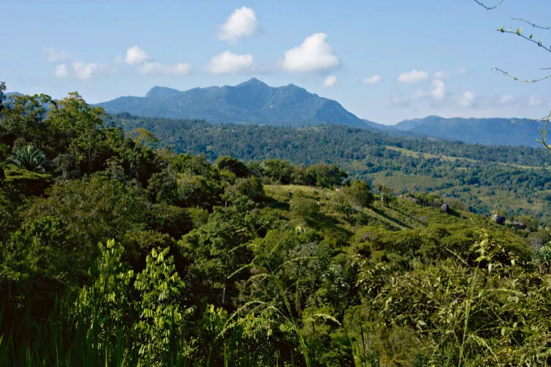 Al descender hacia el valle del Rio Magdalena, la temperatura va cambiando. Zona templada del suroeste del departamento, de Cundinamarca. Carlos Pineda