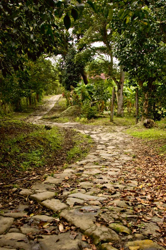 Antiguos caminos de piedra construidos en principio por los indgenas, que luego fueron ampliados por los espaoles, convirtindolos en caminos reales. En la hacienda Misiones se conservan varios de ellos y se utilizan de manera permanente para sacar las cosechas. Carlos Pineda