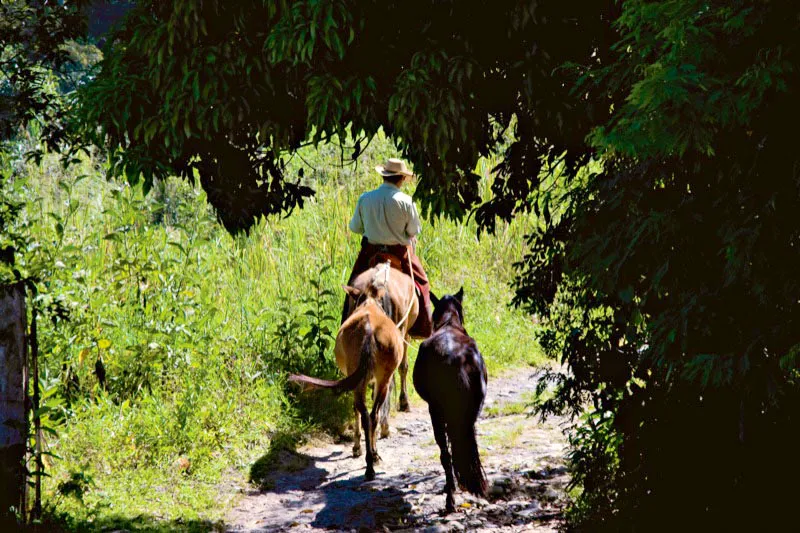 San José de Pare y Chiquinquirá, Boyacá. Carlos Pineda