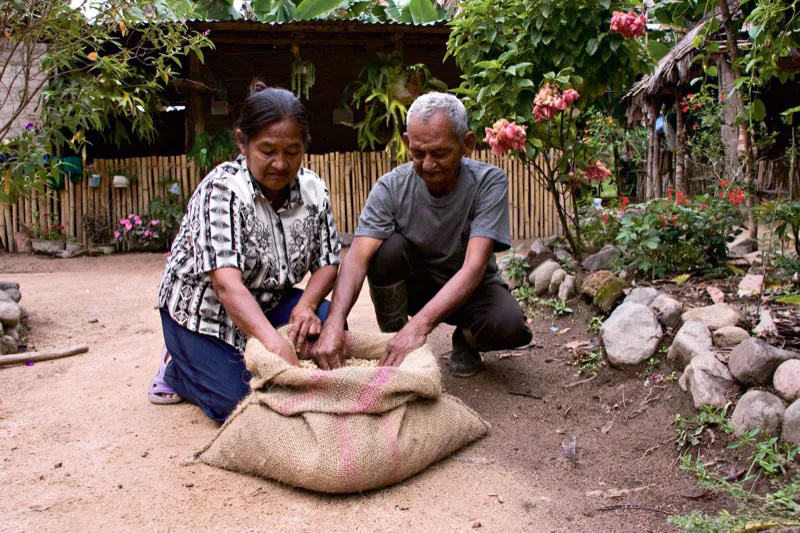 Campesinos de las estribaciones de la Sierra Nevada, que cultivan caf, frutas, pltano y yuca en sus propias parcelas. Pueblo Bello, departamento del Magdalena. Carlos Pineda