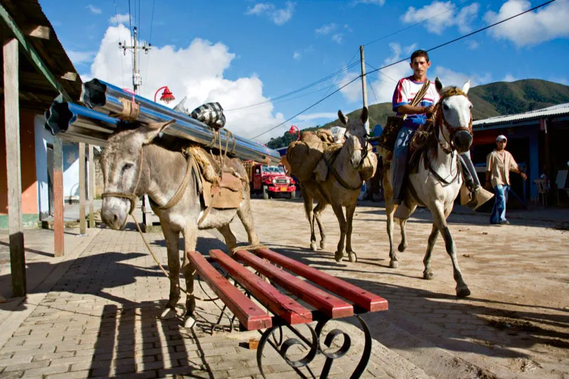 Calles de Pueblo Bello, donde se reúnen todos los sábados los campesinos, los koguis silenciosos, los arhuacos con sus trajes blancos, los ikas y los arzarios, los brujos, los apostadores de gallos y negociantes. Carlos Pineda