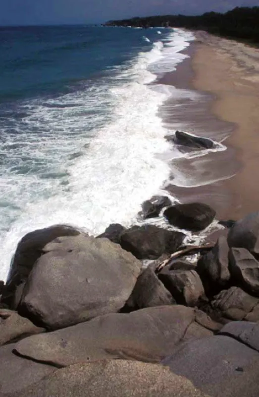 Parque Natural Tairona, Magdalena.
A orillas del mar Caribe y en las estribaciones de la Sierra Nevada, tiene una extensión de 12 000 hectáreas terrestres y 3 000 marinas. En él se encuentran riquísimas flora y fauna así como sitios arqueológicos, pues la zona fue habitada por cazadores nómadas desde hace más de 15 000 años.