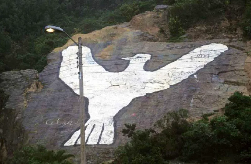 Paloma de la paz, grafiti en Bogotá.
Esta paloma formó parte de miles que fueron pintadas durante la jornada “Artistas por la paz” el 26 de agosto de 1984. Ese día se promovieron movimientos similares en ciudades como Neiva, Medellín y Barranquilla. Aún se puede observar en los cerros de Bogotá por el camino que va a La Calera.